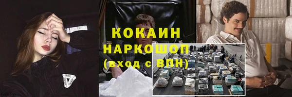 тгк Горно-Алтайск