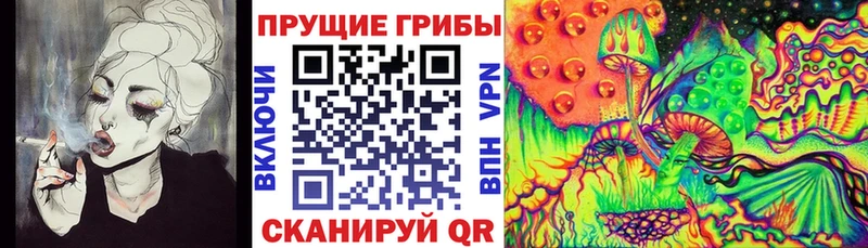 мега как зайти  Гусь-Хрустальный  Псилоцибиновые грибы Cubensis  как найти закладки 